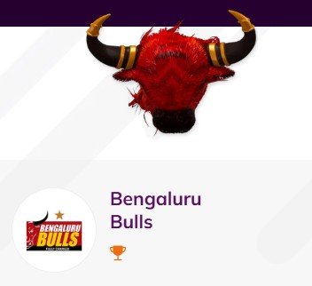 Bengaluru Bulls