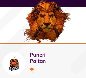 Puneri Paltan