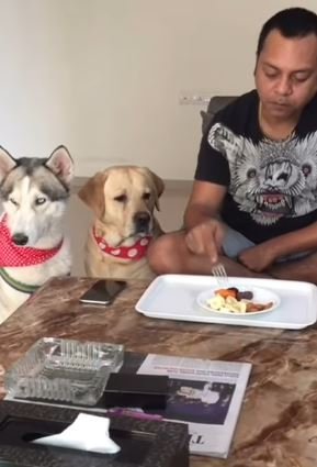Zeishan Quadri with his pet dogs