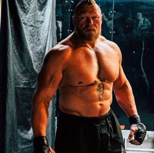 Brock Lesnar Kids, NFL Stats, WWE Stats, Age, Lawsuit Brock Lesnar