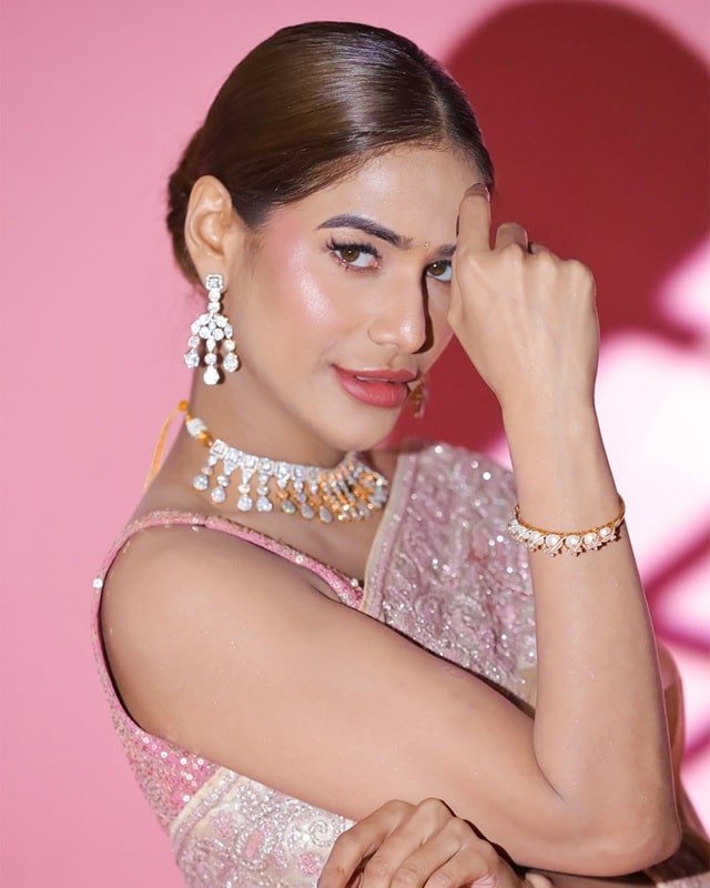 Poonam Pandey Boyfriend, Marriage, 2011 Scandal Poonam Pandey